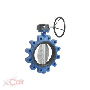 Rubber-Lined-Lug-Type-Butterfly-Valve Manufacturer in Kolkata